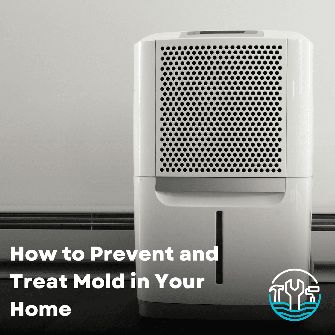 How to Prevent and Treat Mold in Your Home