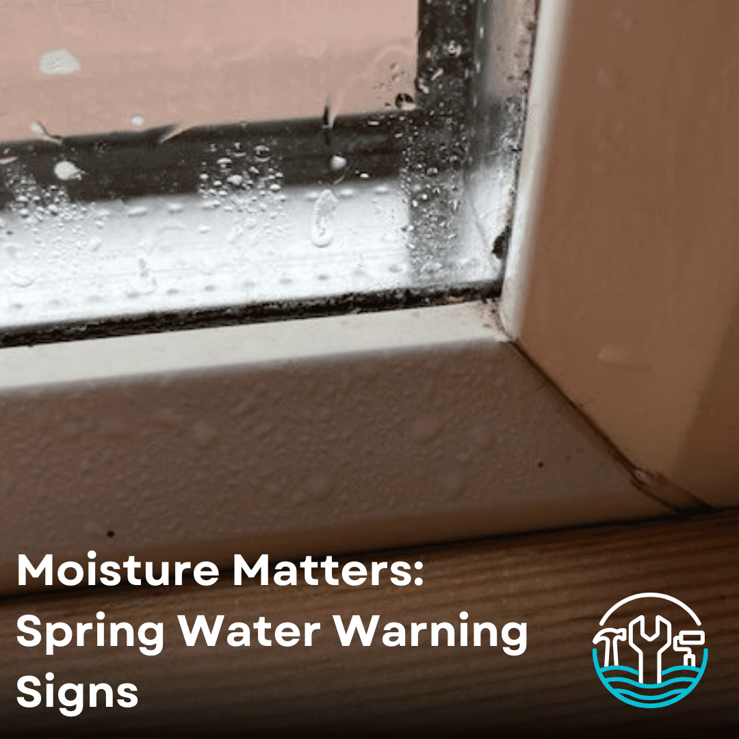 Moisture Matters: Early Spring Water Warning Signs for Shore Homes